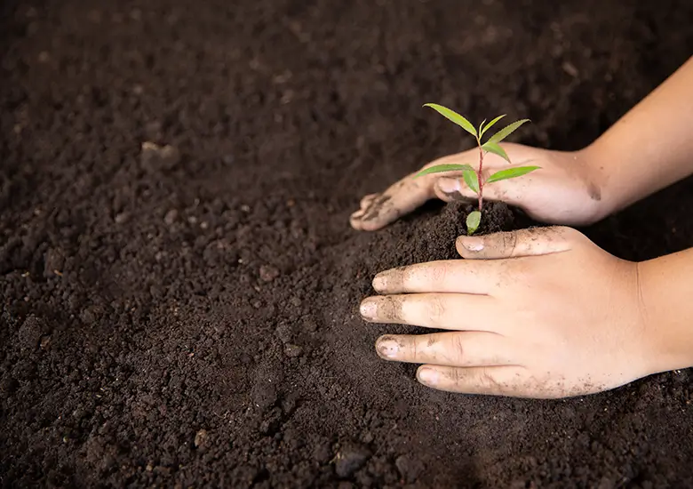 sustentabilidade-armonato-engenharia-civil-terraplenagem