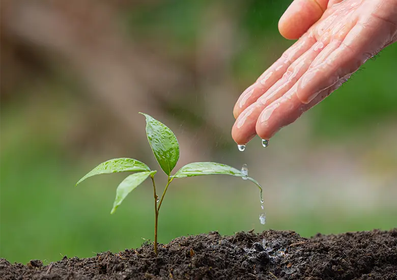 sustentabilidade-armonato-engenharia-civil